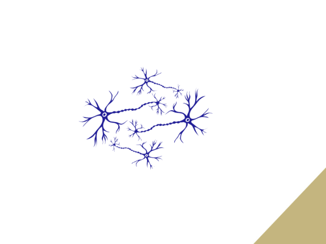 Hermostollinen synkronia ja yhteistyö